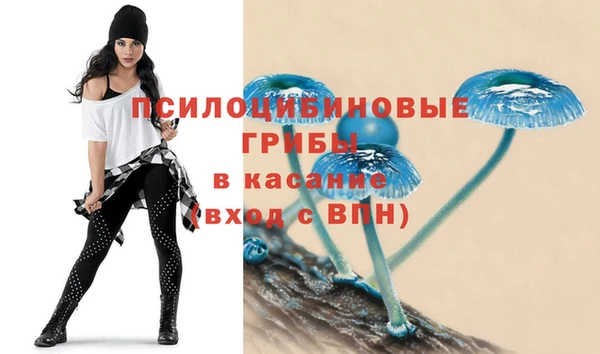 молекула духа Арсеньев