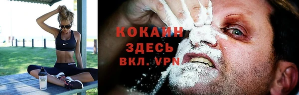 шишки Армянск