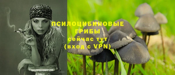шишки Армянск
