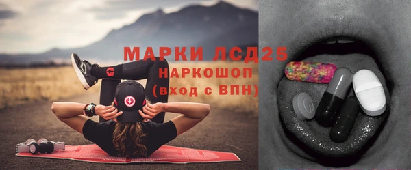 молекула духа Арсеньев