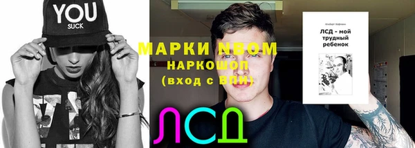 шишки Армянск