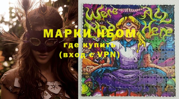 молекула духа Арсеньев