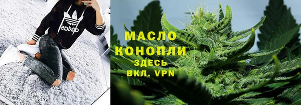 молекула духа Арсеньев