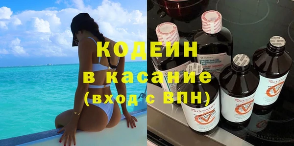 молекула духа Арсеньев