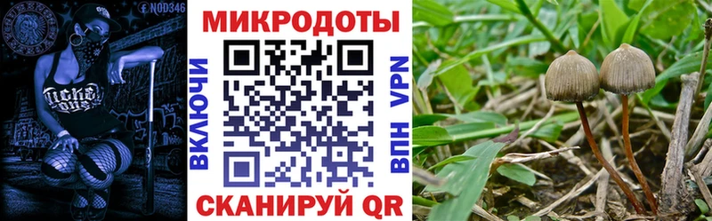 Галлюциногенные грибы MAGIC MUSHROOMS  Собинка 